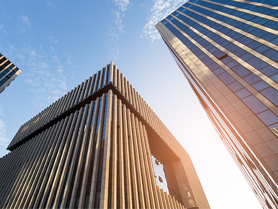 久久99精品久久久久久久不卡