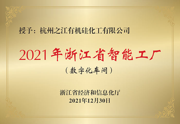 久久99精品久久久久久久不卡