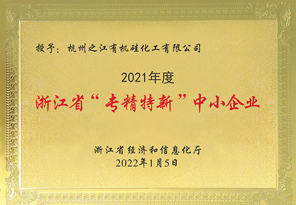 久久99精品久久久久久久不卡