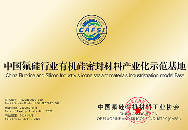 久久99精品久久久久久久不卡