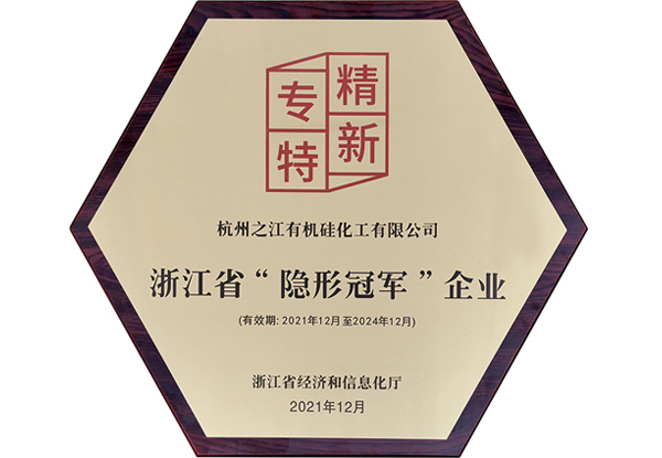 久久99精品久久久久久久不卡