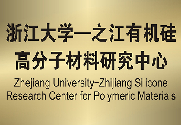 久久99精品久久久久久久不卡