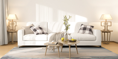 久久99精品久久久久久久不卡