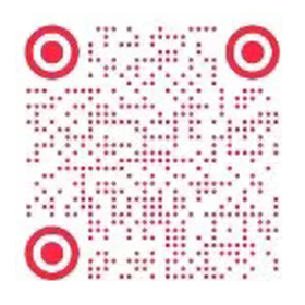 久久99精品久久久久久久不卡