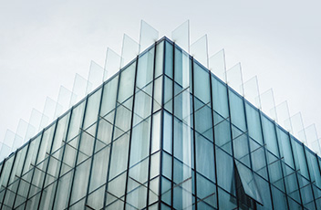 久久99精品久久久久久久不卡