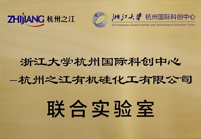 久久99精品久久久久久久不卡