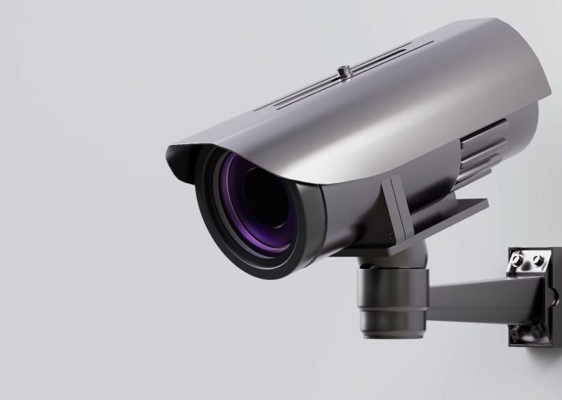 久久99精品久久久久久久不卡