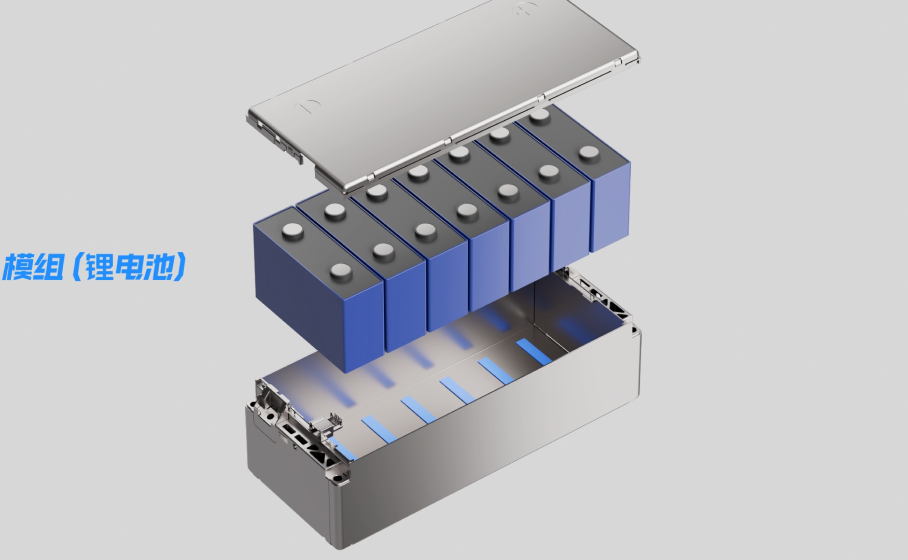 久久99精品久久久久久久不卡