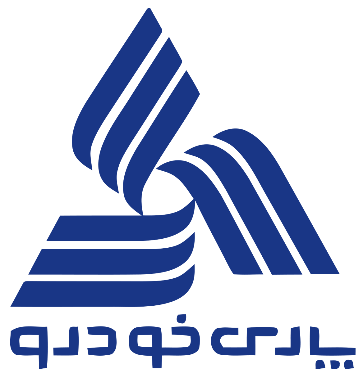 久久99精品久久久久久久不卡