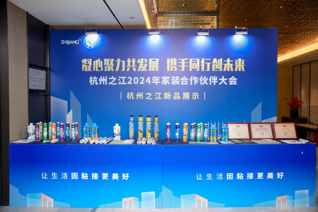 久久99精品久久久久久久不卡